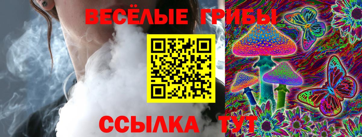 Псилоцибиновые грибы мицелий Медногорск