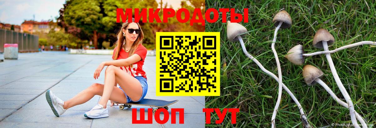 Псилоцибиновые грибы мухоморы  Вход с VPN  Медногорск 